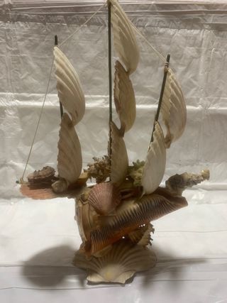 Barca a vela di conchiglie