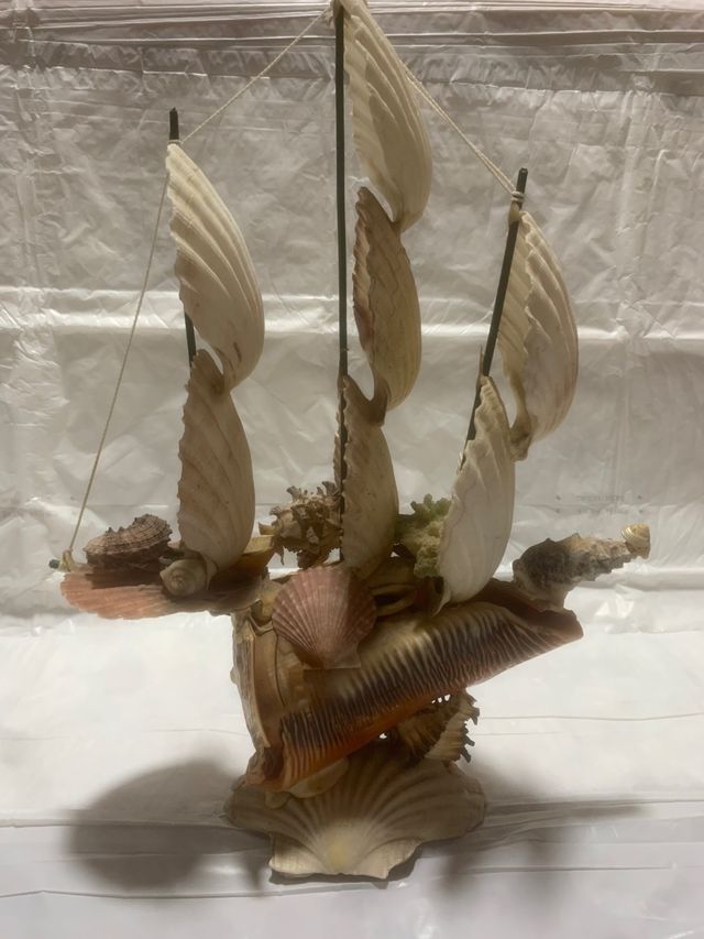 Barca a vela di conchiglie