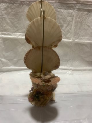 Barca a vela di conchiglie