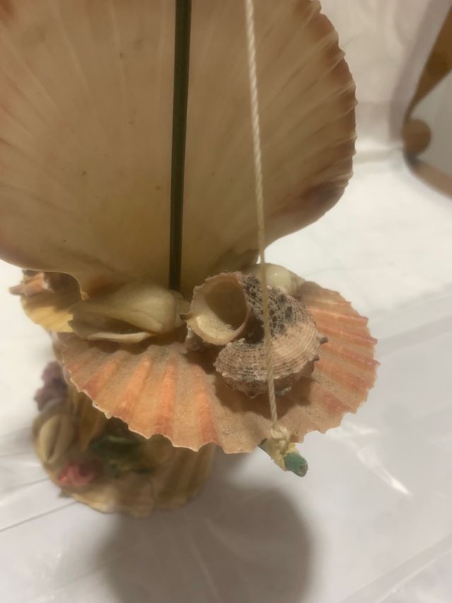 Barca a vela di conchiglie