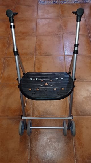 Andador para ancianos 