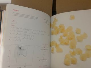 libros matemáticas, economía y física