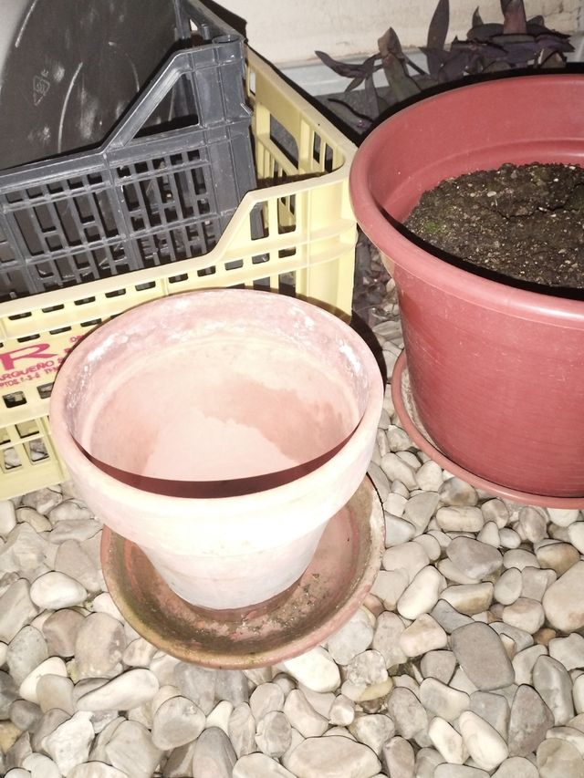 Varios tiestos y tierra