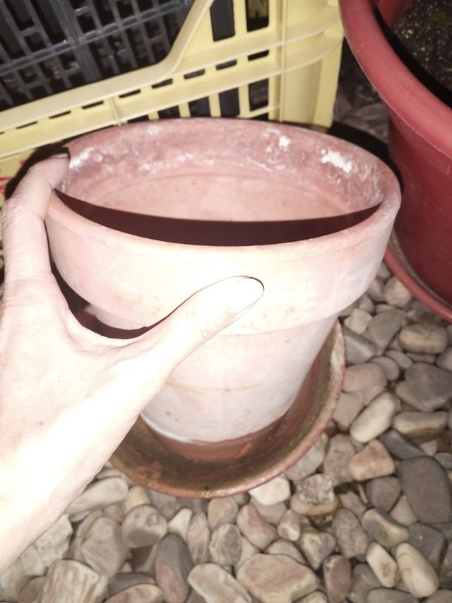 Varios tiestos y tierra