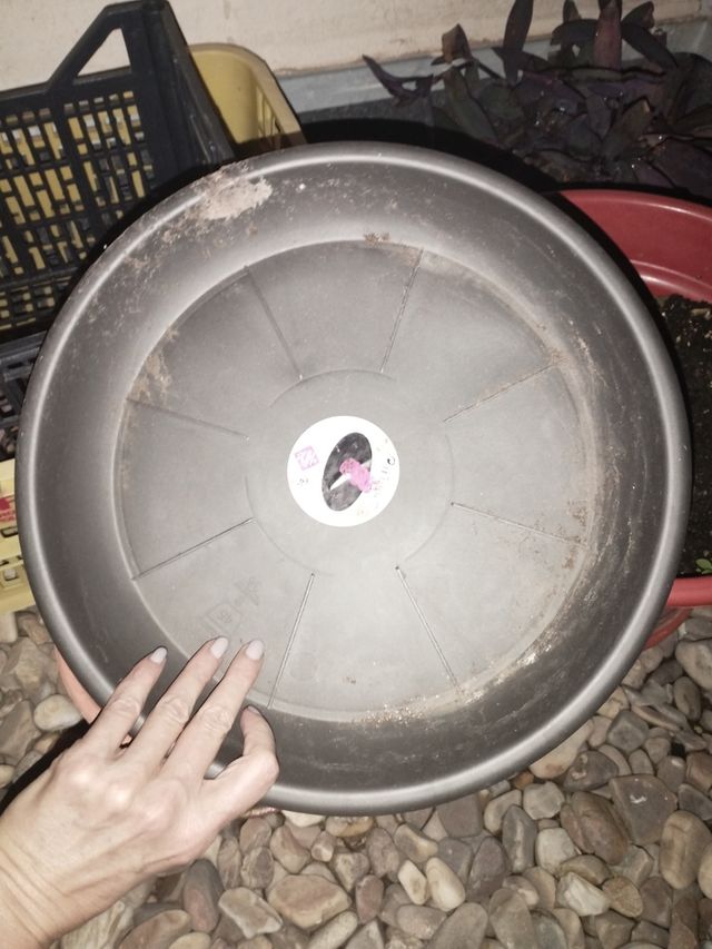 Varios tiestos y tierra