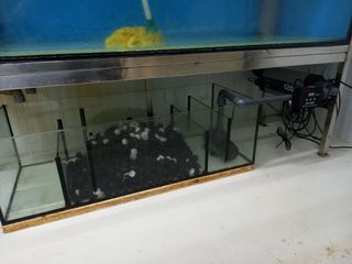 Bateria acuarios