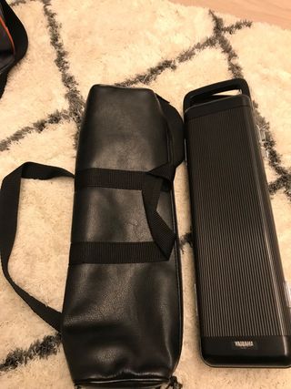 Flauta travesera profesiomal