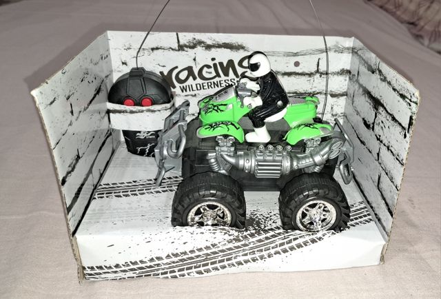 Quad Bike RC Racing Wilderness