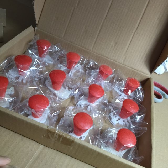 12 carimbos ( animais selvagens)