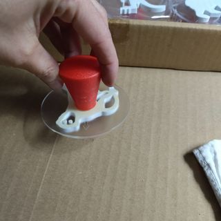 12 carimbos ( animais selvagens)