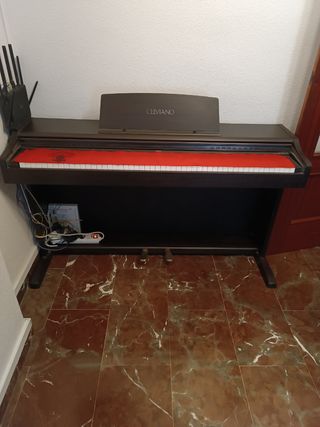 Piano electrónico casio