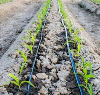 PARA RIEGO TUBERIA 16mm-100m POLIETILENO