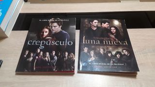 Libros crepusculo Lote 2 libros
