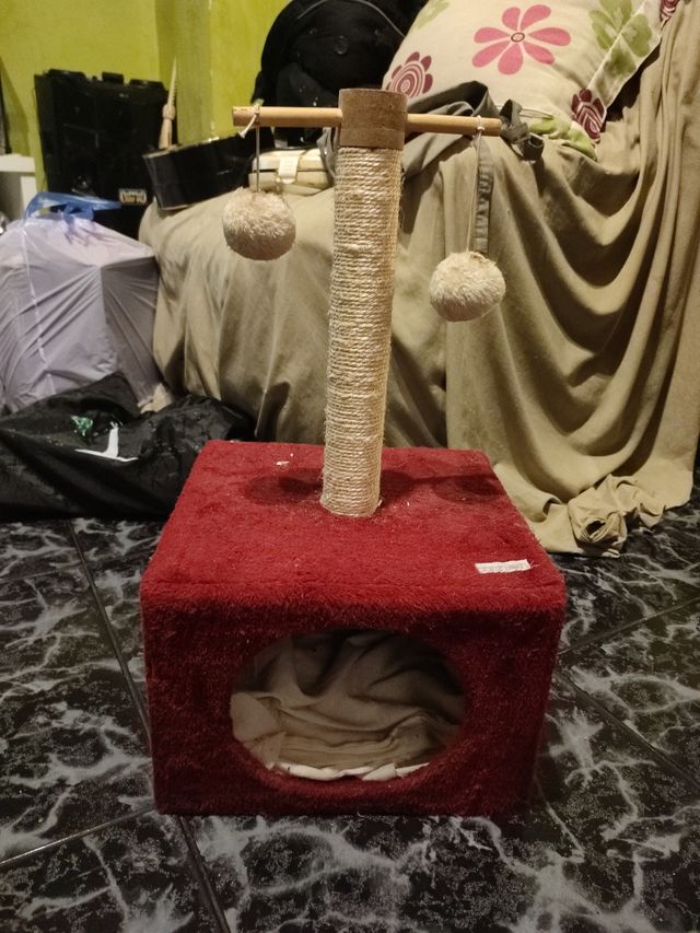 Rascador y casetilla