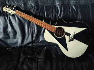 Dean Michael Schenker  electroacustica guitarra