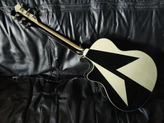 Dean Michael Schenker  electroacustica guitarra