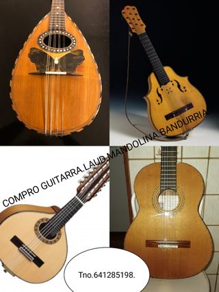 Chitarra. Bandurria. Lode. Mandolino