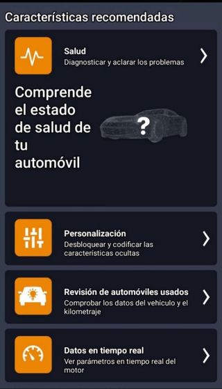 Se hacen codificaciones y diagnosis.