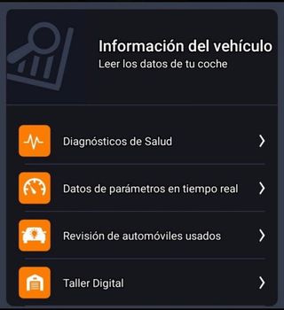 Se hacen codificaciones y diagnosis.