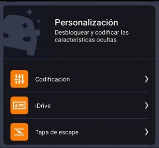Se hacen codificaciones y diagnosis.