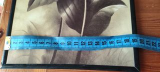 coppia di due bellissimi quadretti su polistirolo