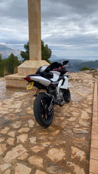 derbi gpr 50