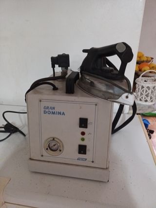 Generador de vapor con plancha