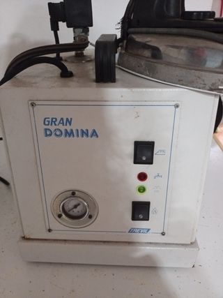 Generador de vapor con plancha