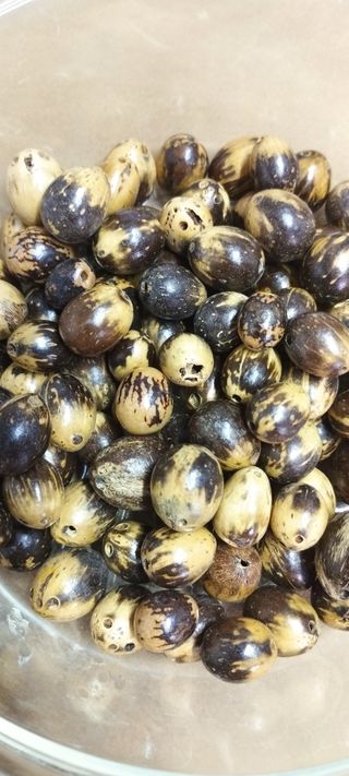 Abalorios de coco 22 por 1 euro