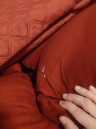 Sofá cama chaise longe terciopelo Rojo 3 plazas