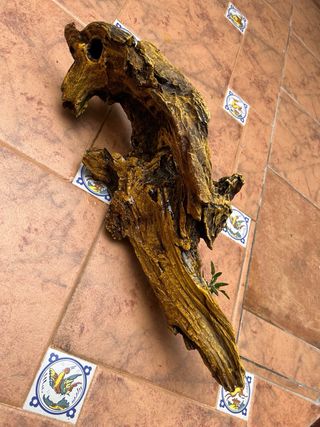 ROCA PECERA/TERRARIO