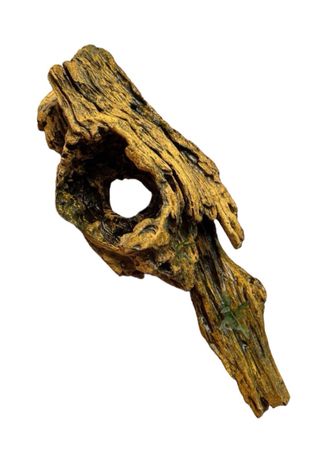 ROCA PECERA/TERRARIO