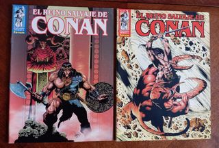 EL REINO SALVAJE DE CONAN LOTE 16 CÓMICS