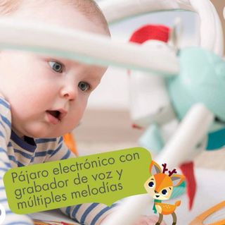 Gimnasio Infantil Evolutivo Tiny Love