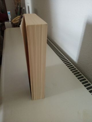 Libro la historia interminable