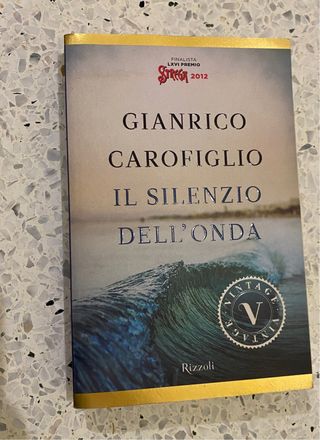 Libro “Il silenzio dell’onda”