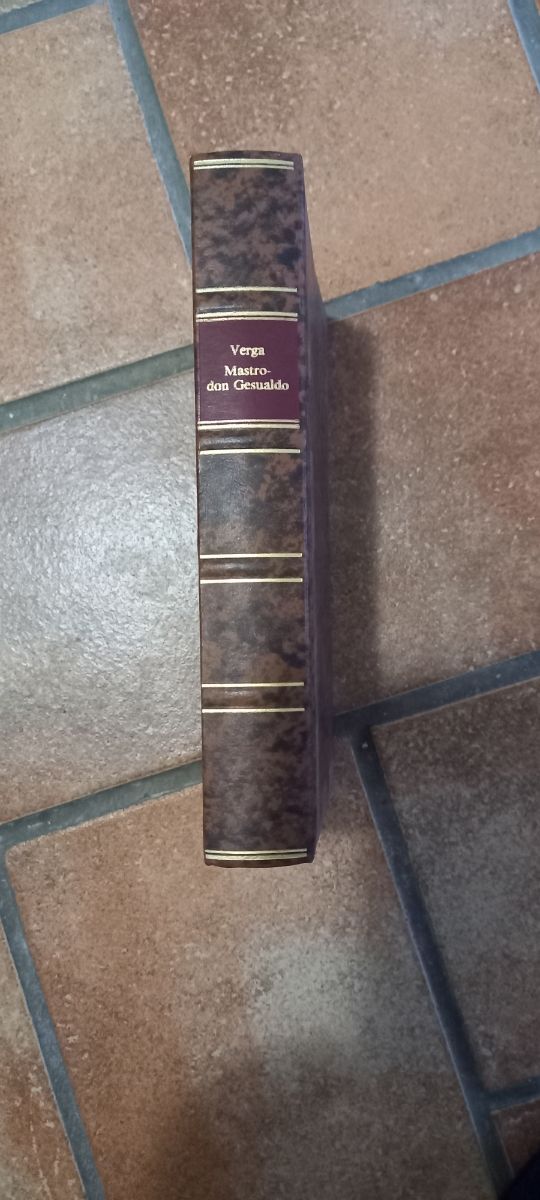 Libro Mastro Don Gesualdo