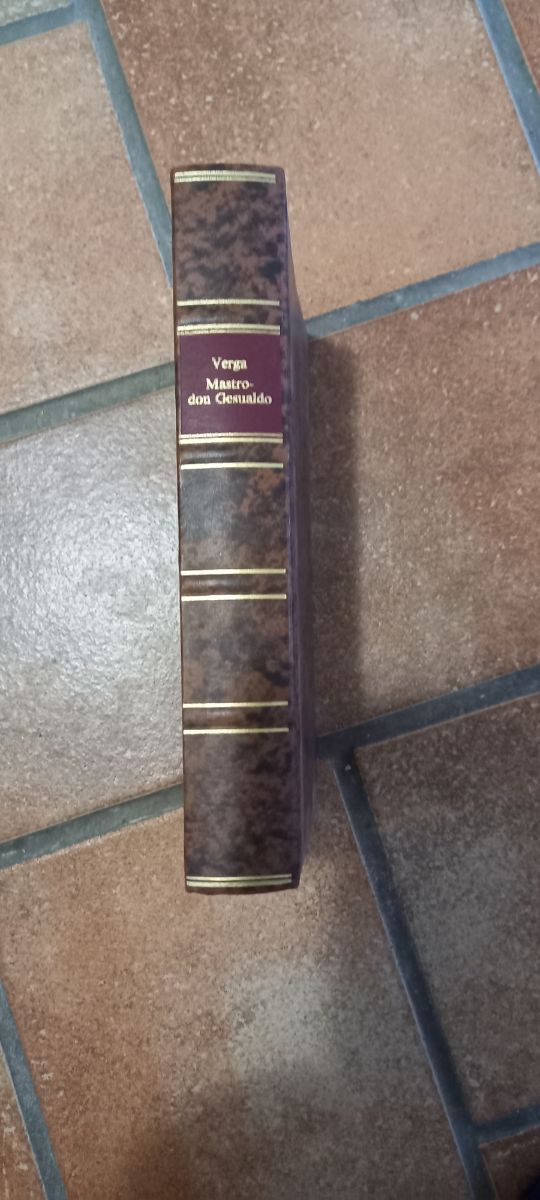 Libro Mastro Don Gesualdo
