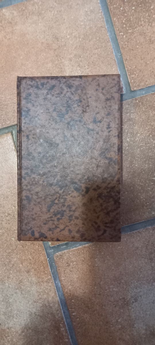 Libro Mastro Don Gesualdo