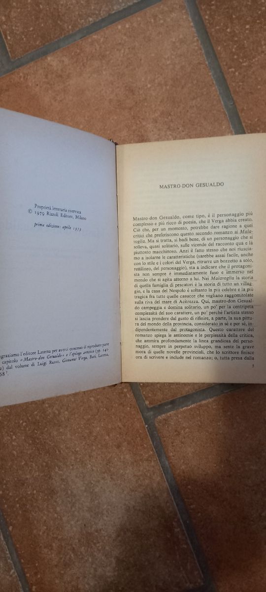 Libro Mastro Don Gesualdo