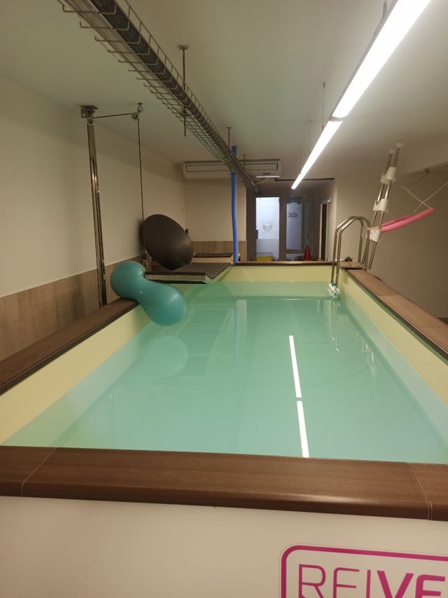 Piscina Elevada con bomba Astrapool ❌ negociable