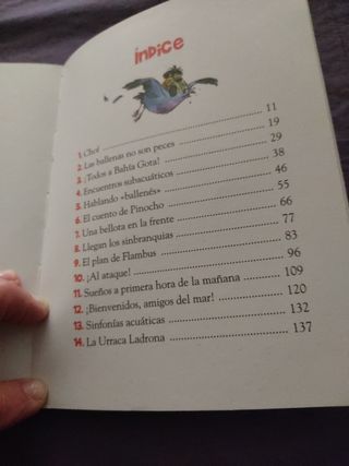 Libro infantil