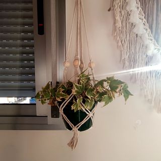 Macetero de macramé