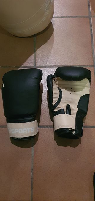 Saco boxeo 12kg y guantes 10 oz