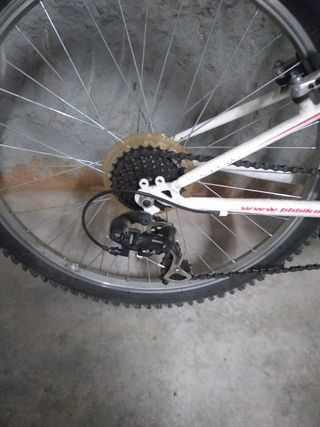 Bicicleta junior BH Oregon talla 24