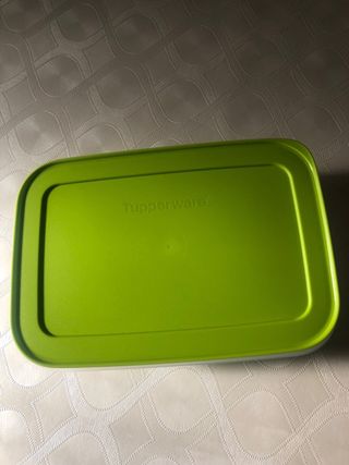 caixa de congelação 1L