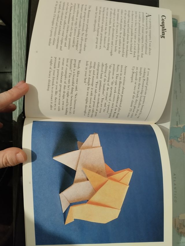 Libro adult origami Nick Robinson