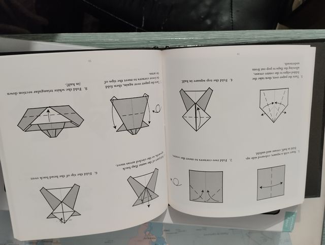 Libro adult origami Nick Robinson