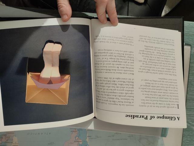 Libro adult origami Nick Robinson