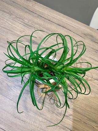 piantine finte con contenitore